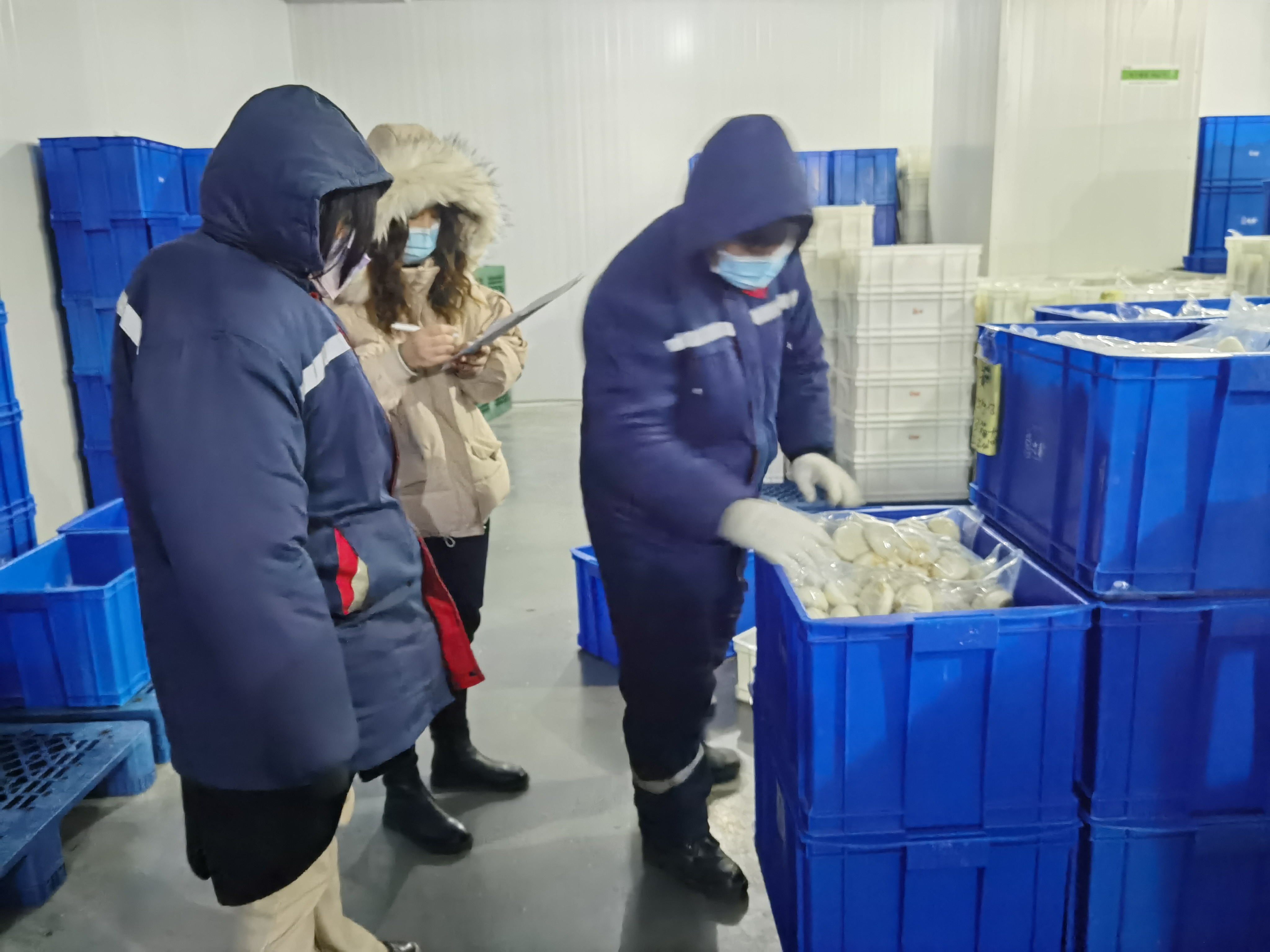 1645684197530016.jpg e6e5ad0eb47b314d9aa2eb5ea731e9b.jpg