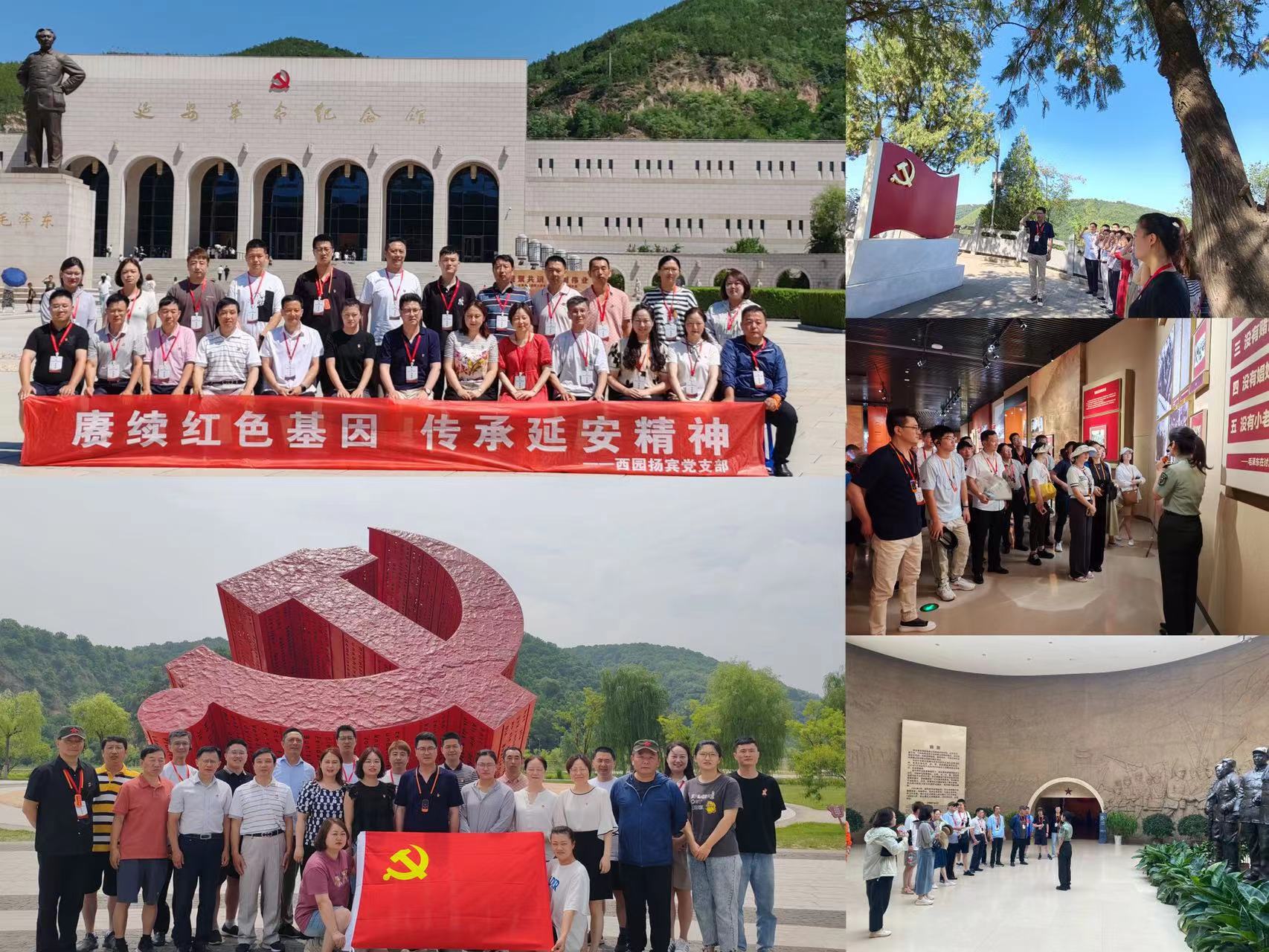 1690791420405596.jpg 5ec17bb65249720e1ddc26750f600a3.jpg