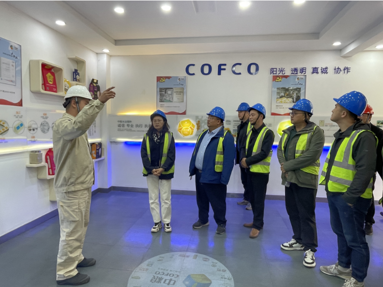 1731295486705315.png 1731294755107.png