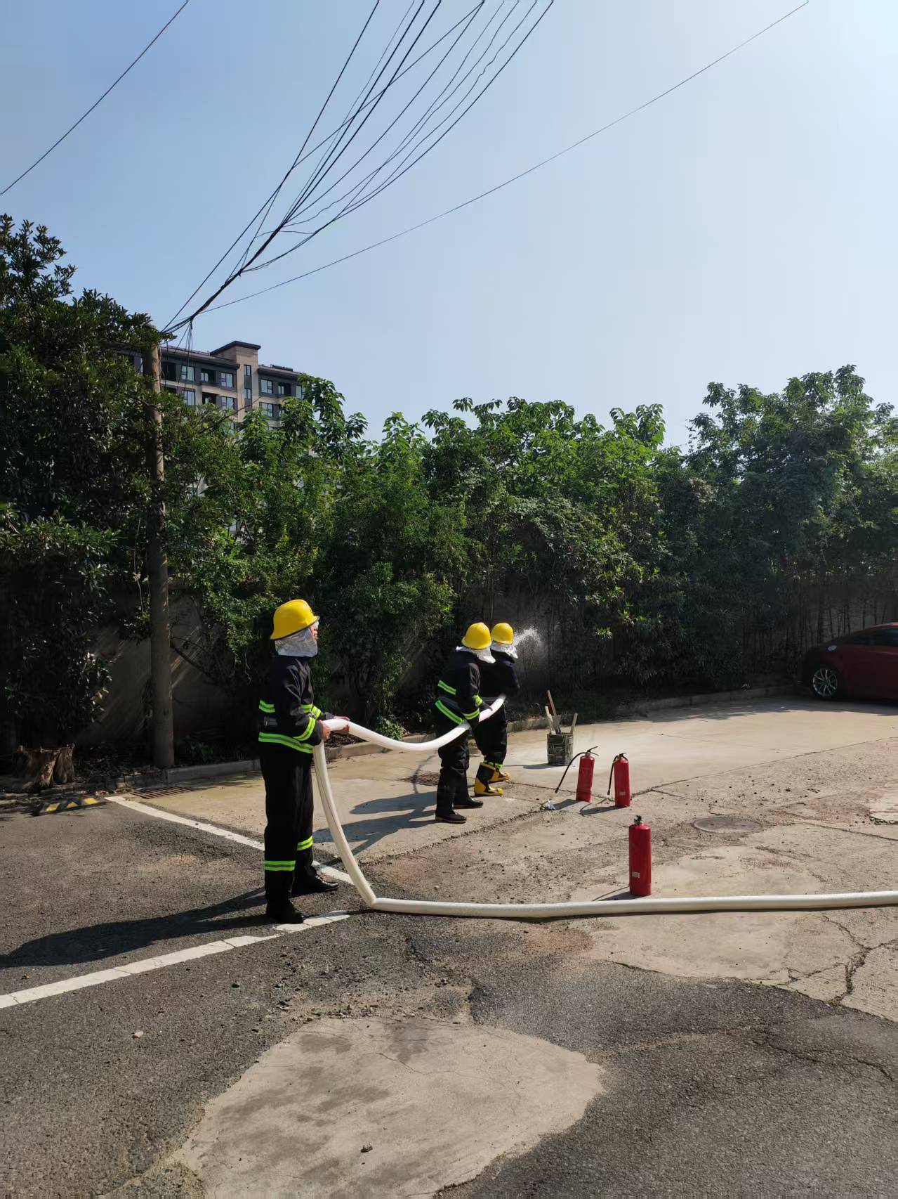 1750314510261750.jpg 3dd517.jpg